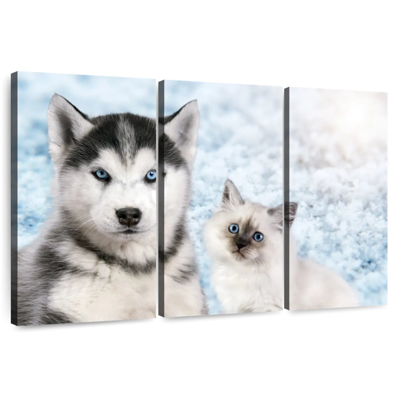 Chiot et chaton aux yeux bleus Brampt, H 28 po x l 45 po