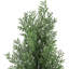Plant-172672108-172672110