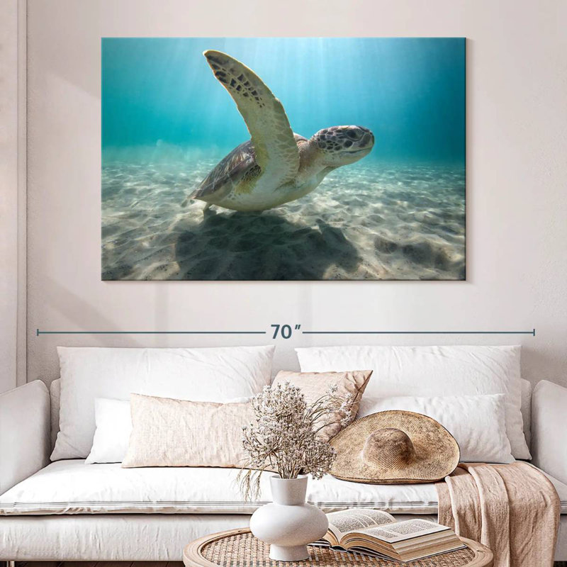 Tortue verte géante Brampt, H 34 po x l 51 po