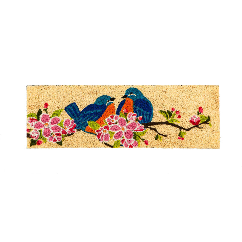 Tapis de porte d’intérieur anti-dérapant 28,25 x 9,25 oiseaux kensington switch Perkins