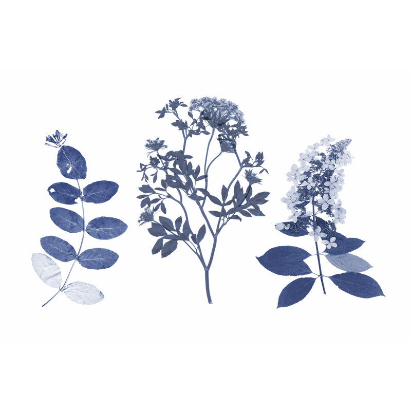 Indigo Pressed Florals I by Studio W - Wrapped Canvas Print, 81cm H x 122cm W