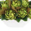 Magnolia and Artichoke Floral Arrangements in a Fiberstone Pot