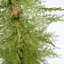Ensemble de 2 pièces d'arbre de Noël artificiel 4 pi: matériel en polyéthylène de haute qualité, assemblage facile et support en pot