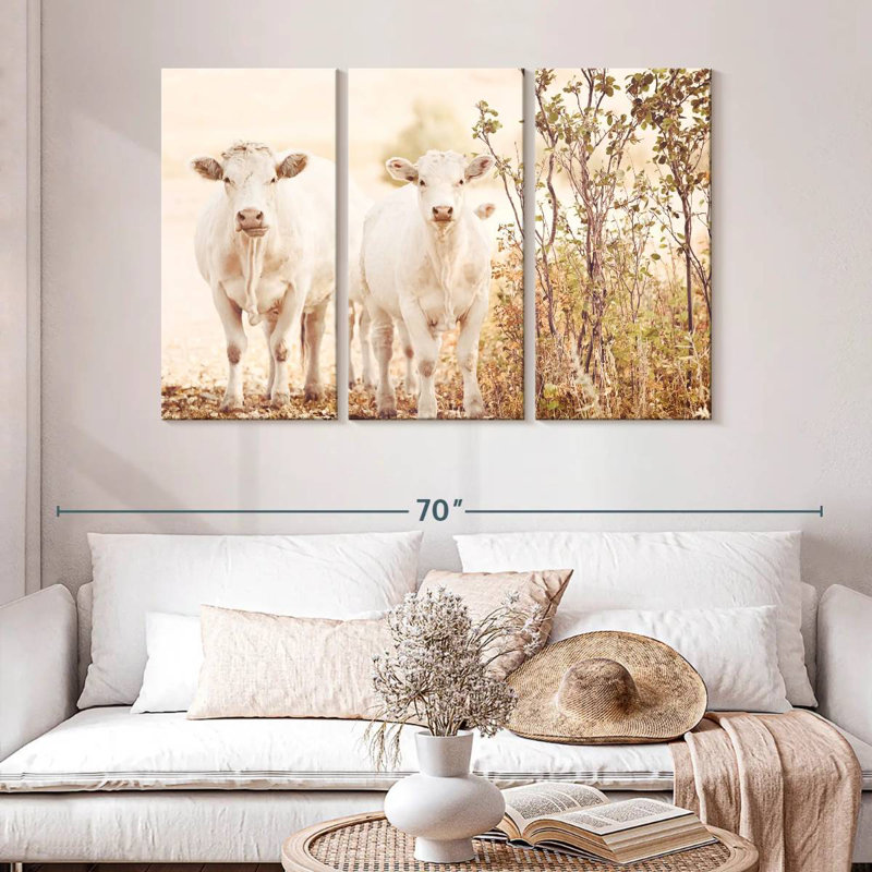 Charolais Cows, 32" H x 50" W