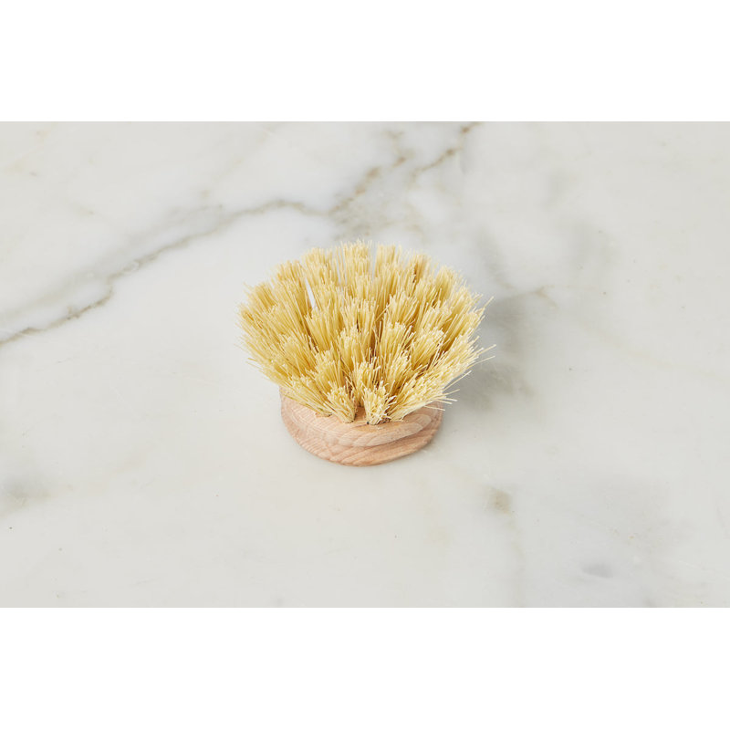 Euro Dish Brush Replacement Head