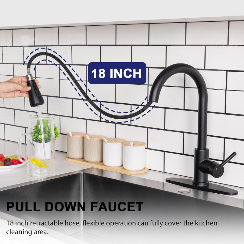 Kitchen Faucet with Pull Down Sprayer