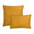 ambre