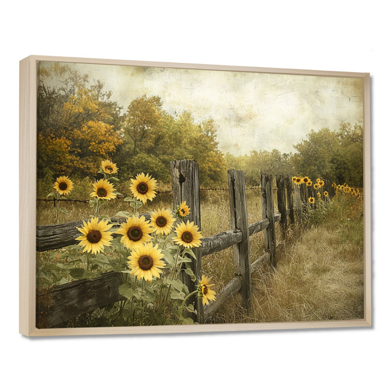 Dortley tournesols le long de la clôture de grange III - tournesols, art mural, H 24 po x l 32 po, Crème, crème