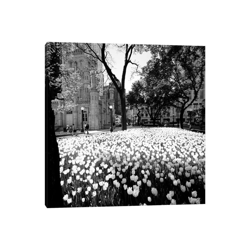White Tulips Near A Water Tower, Chicago Water Tower, Michigan Avenue, Chicago, Cook County, Illinois, USA by Panoramic Images - Wrapped Canvas Gallery-Wrapped Canvas Giclée