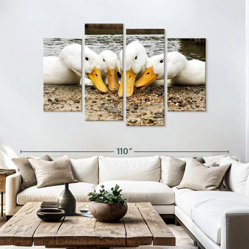 American Pekin Ducks, H 54 po x l 84 po
