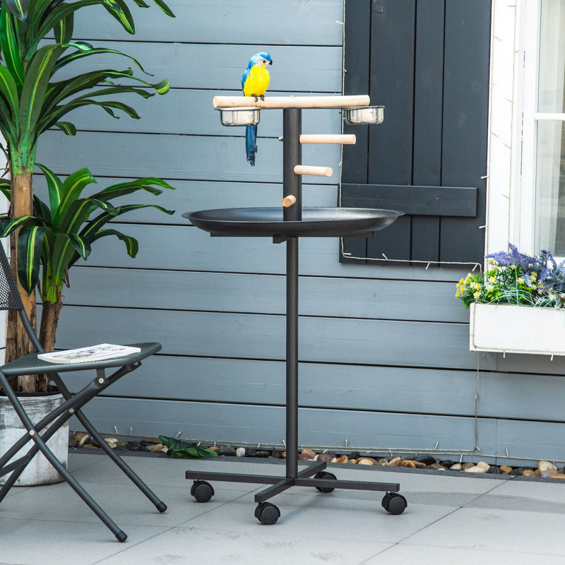 Meuble de jeu Bird