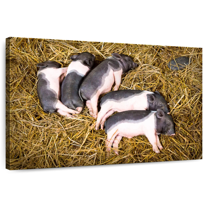 Piglet Quintet, 32" H x 48" W