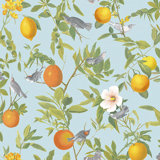 Viva Floral Wallpaper Double Roll