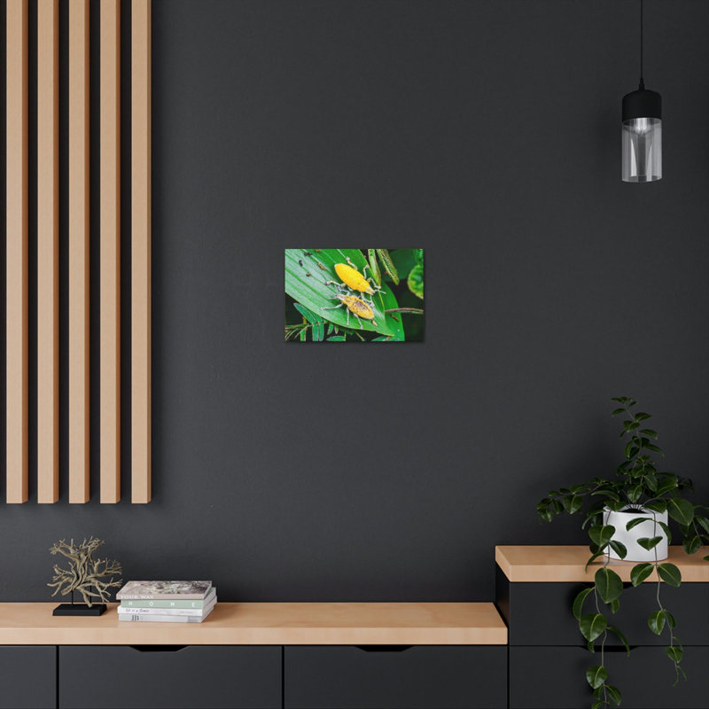 «Weevil Couple», art mural animal, H 12 po x l 18 po