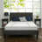 8'' Plush Mattress