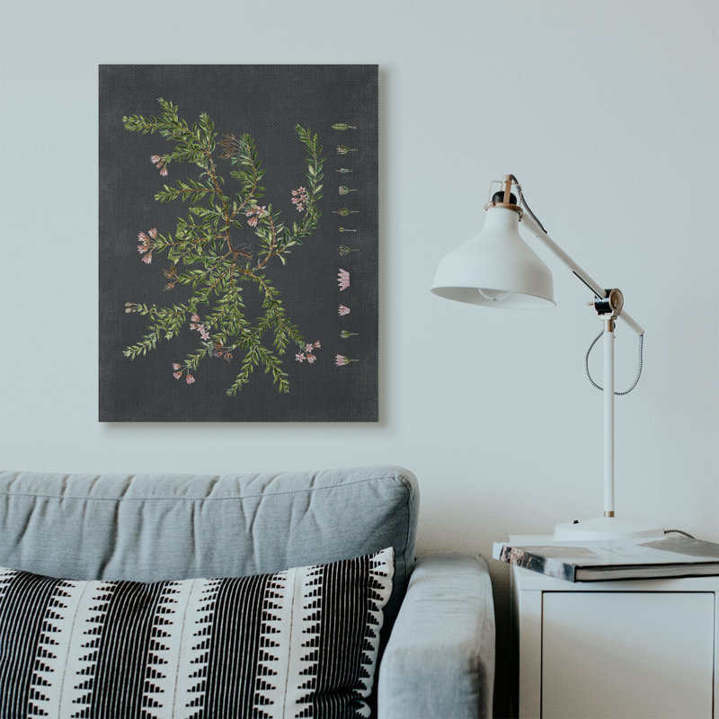 «Botanical Dessin Flower Pink On Black Design», impression, Toile tendue, H 40 po x l 30 po