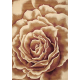 Jeanlouis Indoor Rug