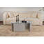 Table basse Chrisina avec plateau 100% verre trempé gris, 41,3 po x 15,7 po x 25,6 po | Structure robuste en panneau de particules enduit 100% mélamine, épaisseur: 0,7 pouce | Design élégant et fonctionnel pour le salon, finition unie élégante-109178471