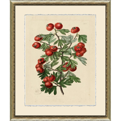 Wilts Red Berries " Wilts Red Berries III "