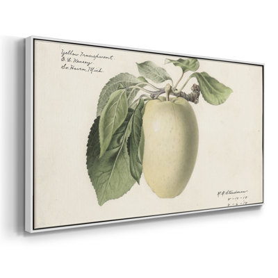 Botanical Series-CDXLIX- Toile tendue avec châssis tendue, prête à être accrochée