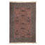 Wool Oriental Area Rug in Green