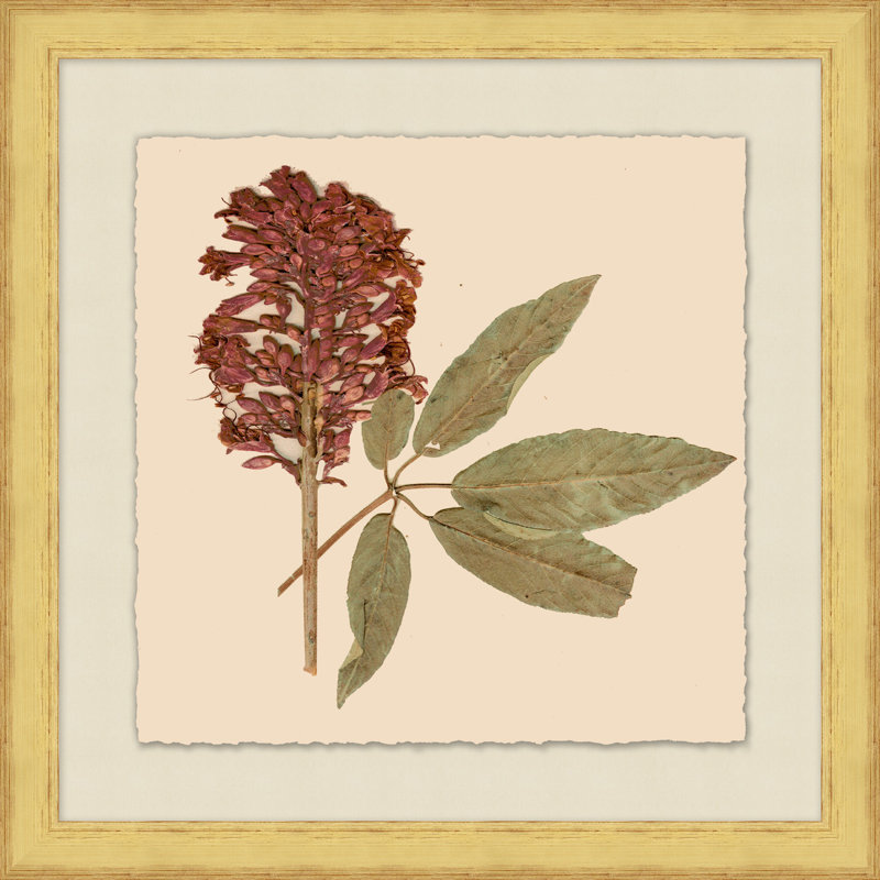 Pressed Flowers 4 Print