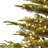 Lighted Christmas Tree-1282051876