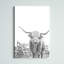 Noir et blanc Highland Cow - impression-617846083