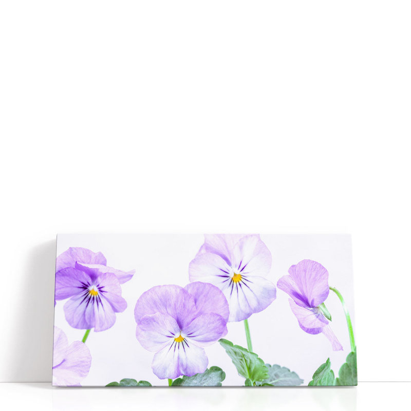 Violet Flowers - Canvas Print Wall Art, 12" H x 24" W