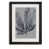 Ebony Framed Paper