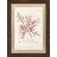 Bradburys Red Coral I Framed Graphic Art