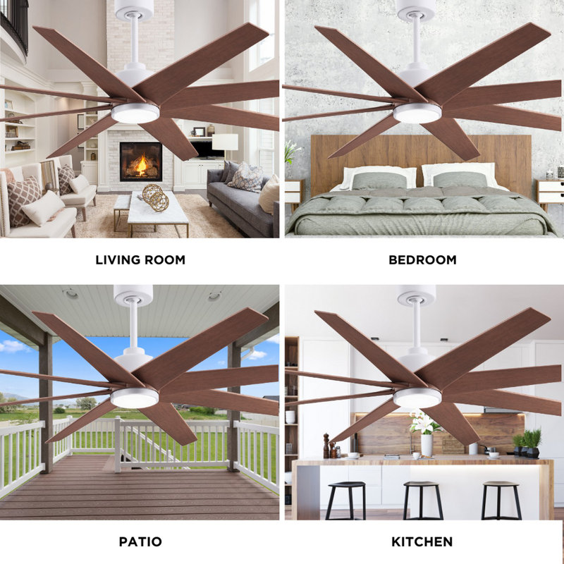 Ariella - Eight Blade Ceiling Fan - Integrated LED - Matte Black Finish - Matte White Blades, Matte White, Walnut Tone