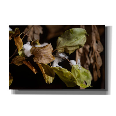 Art mural Union Rustic «Autumn 01» par Gordon Semmens