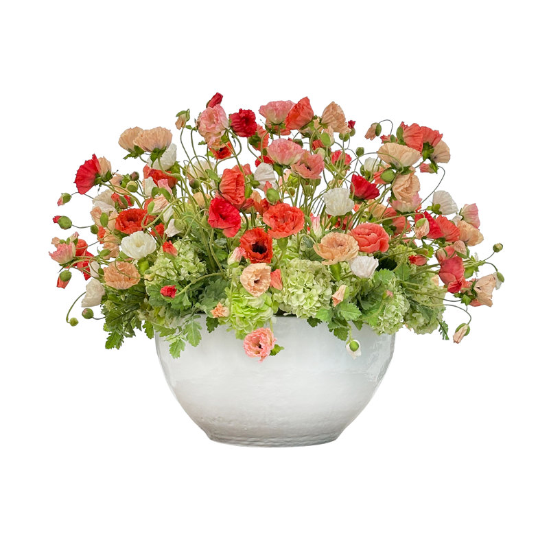 Mixed Poppies In White Pot
