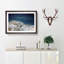 Denali McKinley Mountain in Alaska - Picture Frame Painting Print-55491046-55491047