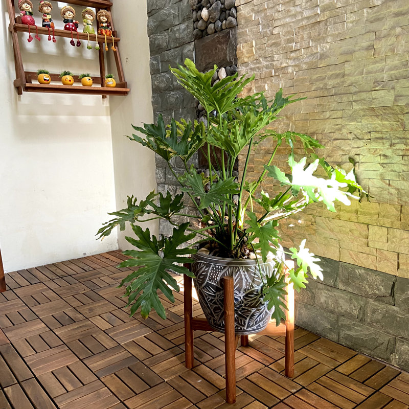 Support pour plante Akea, Naturel, H 14 po x l 14 po x P 14 po