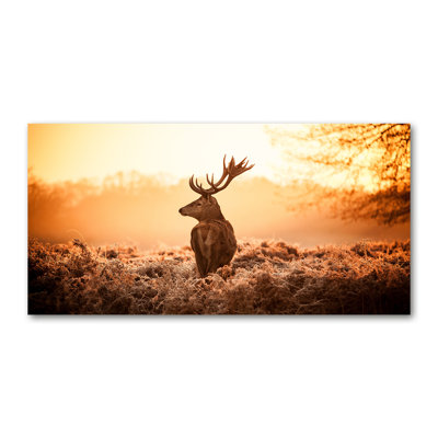 Deer Sunrise - No Frame Print