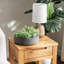 Indoor 8-Inch Concrete Flower Pot Planter-8989410