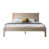 Driftwood Beige 
