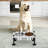 Anti-Skid Elevated Feeder-85845189-85845188