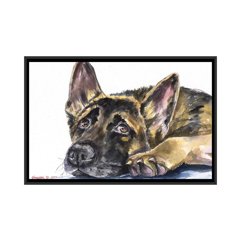 « german berger », impression sur toile, H 18 po x l 26 po x P 1,5 po, Toile avec cadre noir