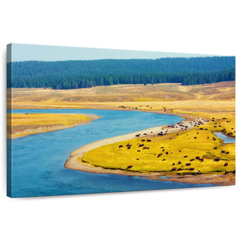 Alvord Yellowstone Bison River