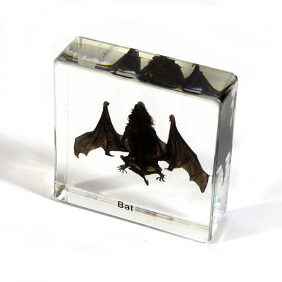 Rakowski Animals Figurines & Sculptures