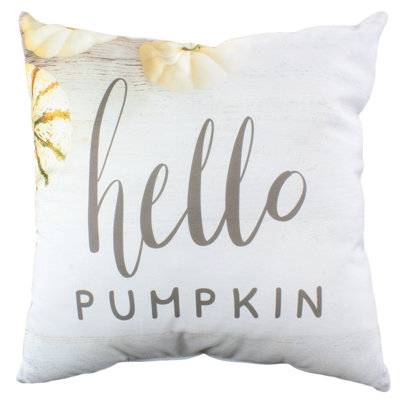 Seasonal Pillows Square Pillow Cover & Insert
