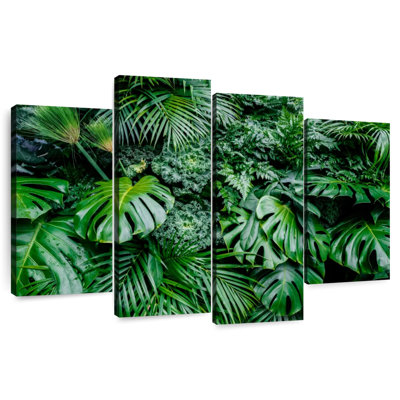 Harnek Monstera Deliciosa feuilles