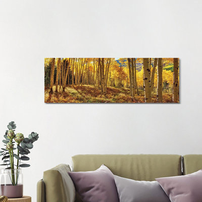 " Autumn Aspen Colorado Forest Panorama "