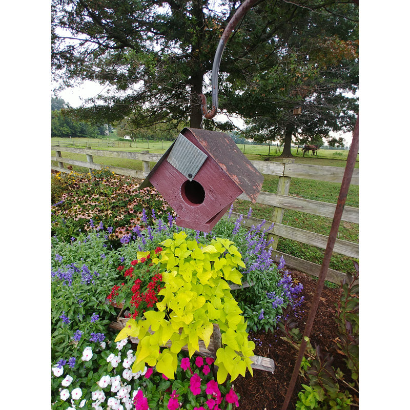 Maison d'oiseaux à oiseaux 7,5 po x 8 po x 9,5 po Wellsville