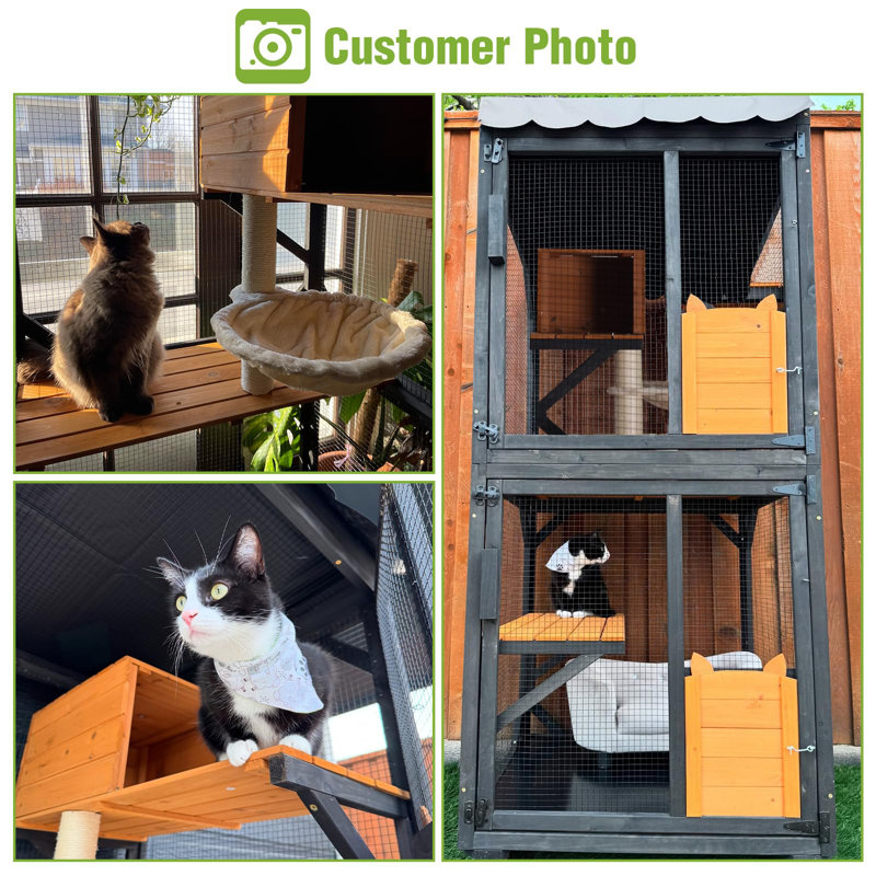 Enceinte de chat mobile pour l'extérieur Catio, Noir