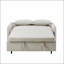 55.1" Pull Out Sleep Sofa Bed Loveseats Sofa Couch With Storage Pockets, 2 Pillows, USB Ports