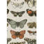Papiers peints rétro, nature et papillons-994148474
